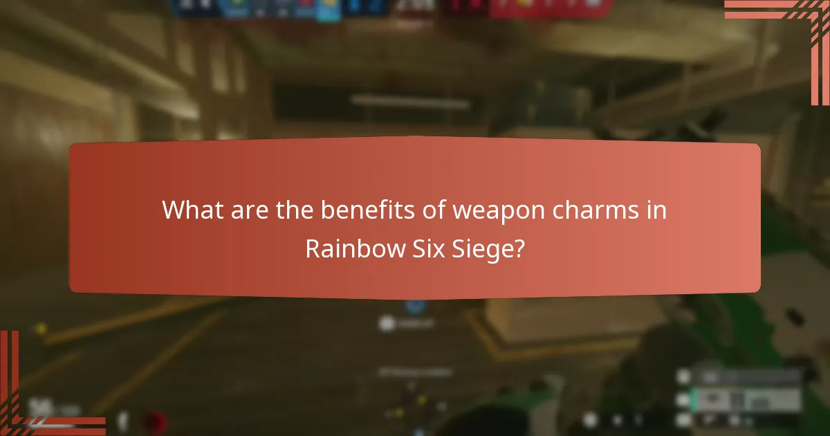What are the benefits of weapon charms in Rainbow Six Siege?